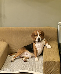 [����]�����̵�ʷ�����ӣ�ֻҪû��ȥˣ���ģ��Ͳ�Ҹ��㿴