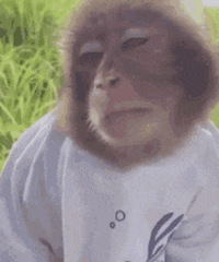 ������ֵ���򡿷�����������33��lamer������˪291