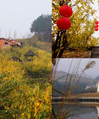 �ܱ���÷���ľ��ѱ��أ���Ҳ̫��Ƭ�˰�