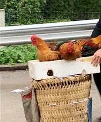 18���߿�ͨ���Ҷ����ʵ�258����ϳ���ȥ��