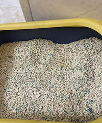 èһ����Ҫ������ʮ��èɰ�����Ʋ�����ƽ��èɰ