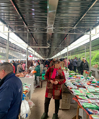 18߿ͨҶʵ258ϳȥˣв