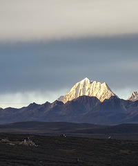 95175CMС飬ϣԷʰЦ