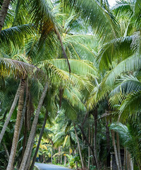 Сڱܺʥأ100ܳԵţг