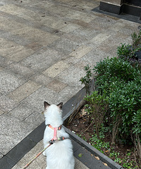 ˭˵è�����ޣ�����ż�ͽ𽥲������Gai����ѹ��