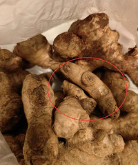 �����ˣ���Ҳ�����˰ɣ������⸱���ͣ���