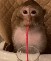 ������ֵ���򡿻�����ʿ�����29�����ؿ��������ɿ���ϲ��19