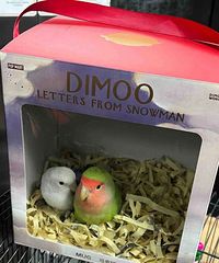 �̲���ӱ��� 0�ɱ�diy���ѣ���������ů������