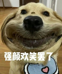 楼上养狗的朋友们,你们真心觉得狗狗很安静吗?
