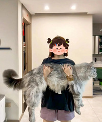 ������������ô�죬������Ȱ����