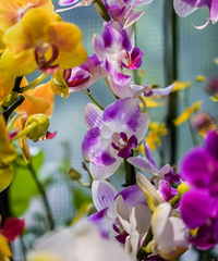 [����]���������ѵĹ�԰��Ȼ������ô���Ļ�չ�����պÿ�