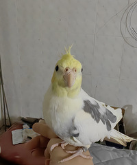 ��ĸ�����������ﳬճ�ˣ���Ը���Է�ҲҪ����