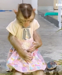 ������ֵ�������ݷ�������������39���������ڿ�4��29