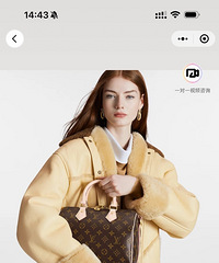 想买LVspeedy25达到顶峰,值得买吗