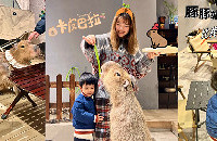 û뵽ߣ԰ûеˮ࣬ϲ9.9