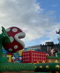 �ŴӴ��滷��������ҵ���ѽ�������԰��Ҳ̫����ʵ�ˣ�