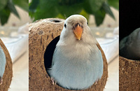 ��ճ�˵�ĵ�����ļ����ˣ����������������