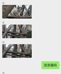 �ְ����������������è���㳦���˶���û����