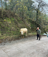 ɱţ��������ţ��ɽ�����ֳ�ѡ���ϰ�˵û�Թ�����