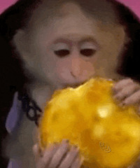 ������ֵ�������޷����ʪ��8��11���������ӹ��˸�39