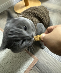 ���������Ҳ��ȫ������صĳ���