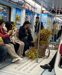 ������ֿ�ʼ����÷�ˣ���Ҷ���ɶ���Ǯһ����