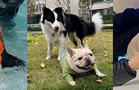 ������С��������Ӯ�ң�ÿ�쳬���Ĺ��껹�к��