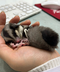 �Ử����۴������������۸���һ��������ѽ