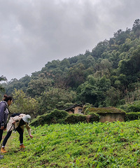 [̽��]��ս����ɽ�ġ�Сţ��������Ұ�ˡ�̽����ѰɽȪ������