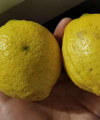 ���մ���ս������������ĩ������ȥ�˶�ĵط����ܸ���Ҳ��Թ���