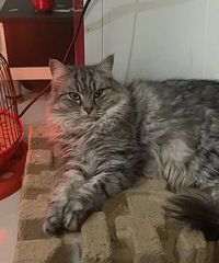 92181CMèĳԱС飬̲ȾƲ