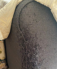 ������è��ʲô����û��è�䰮ץɳ���������ô��