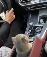 ��һ���Լݻؼҹ���������������˺��Ҹ�