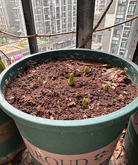 [����]���ǿ�ʼ�����������𣿽�����ǰ�˰���²����ڴ�����