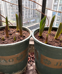 ���ǿ�ʼ��������������ǰ����²����ڴ�����