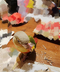 ̰��С��������ྐྵ��ӣ��������й۲��š���������