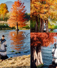 ����������ͷ̫�����ˣ�С�ڻ�λ����