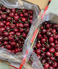 ���������ɽķ��ĳ����ӣ���λһ������������֮��