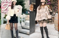 2024սۺϼʽ硢ƤݡС綼ÿ