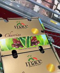 ��λ�����迪ʼ�ų������������Ƕ���ɺö�Ǯ