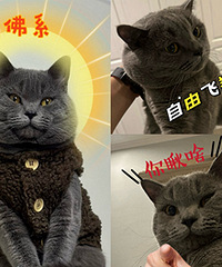 ������󻧱������Բ������õú�˳��