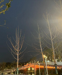 ݽܵĶŮʶ2¾ͱҽ飬ҸϽ