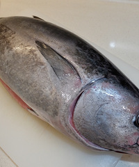 �����С����ʷʵģ����˺ܶ���֬��