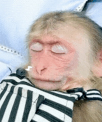 ������ֵ���򡿸��׽�ů����20Ƭ9��������������29