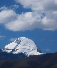 90갮Լݺ¶Ӫĸ飬ϣԷ87~95