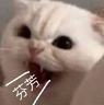 什么时代了?卫生间怎么还有人做蹲厕啊