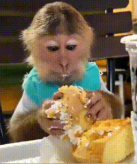 ������ֵ���򡿿��ͺպϽ��5˫19��316��ͯ���±�38