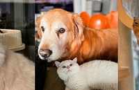 5è2�����Ҹ����ã���һ��̫�µ����Խ��Խ��