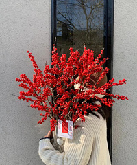 ���ڵ��ˣ���Ҷ�׼����ʲô����װ��ѽ����ɹһɹ