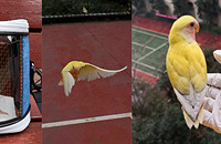 ������ĵ�����ģ����Ų��ҷɣ�������ָ��������